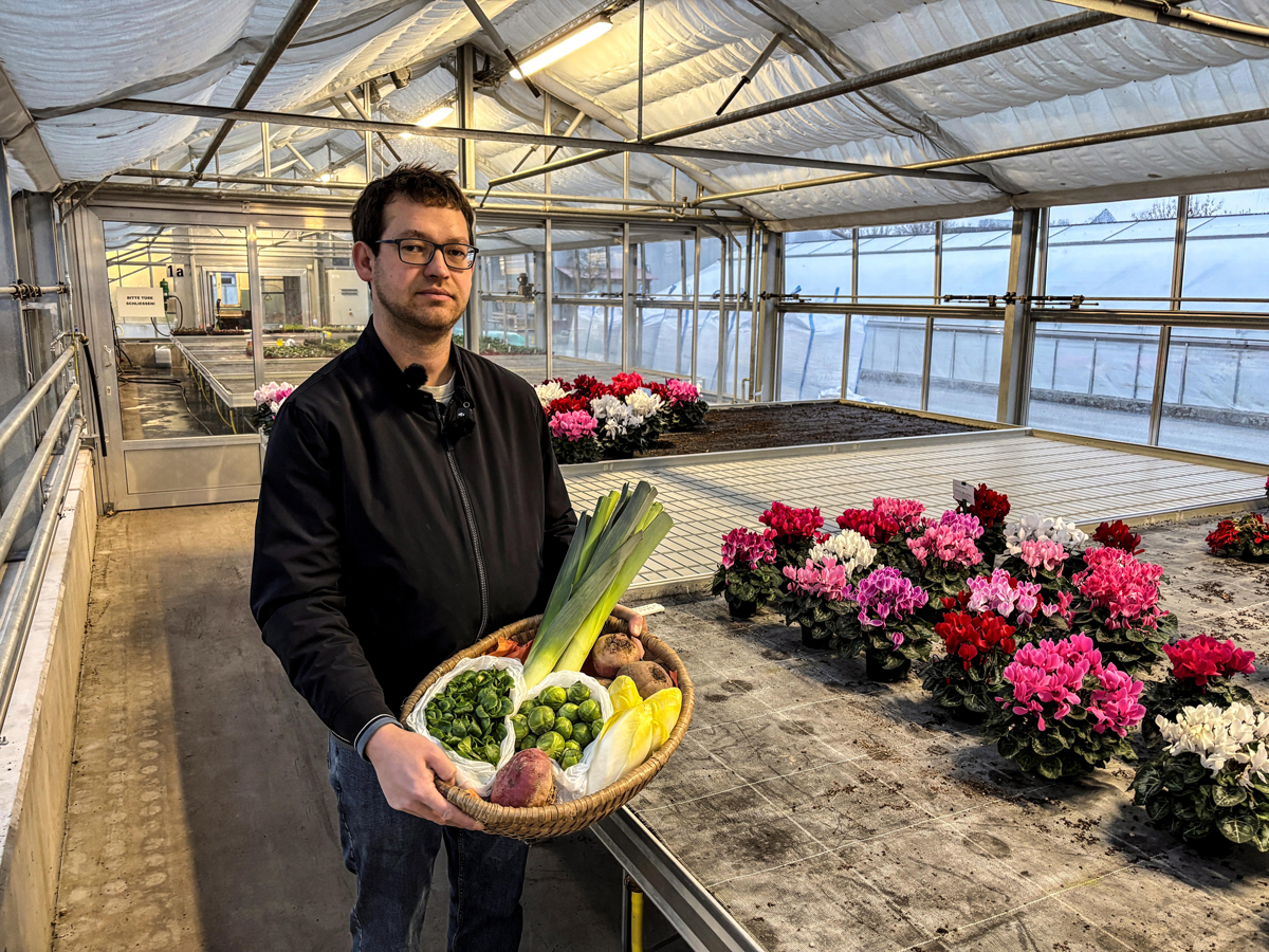 Harald Gräbner vom Stadtgartenamt verrät, welches Wintergemüse in der kalten Jahreszeit besonders gut schmeckt. Foto: Stadt Bayreuth