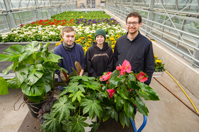 Harald Gräbner vom Stadtgartenamt stellt mit den Auszubildenden Selina Somieski und Jonas Ruppert (v. re.) fünf beliebte Pflanzen vor, die die eigene Wohnung in ein tropisches Paradies verwandeln. Foto: Stadt Bayreuth