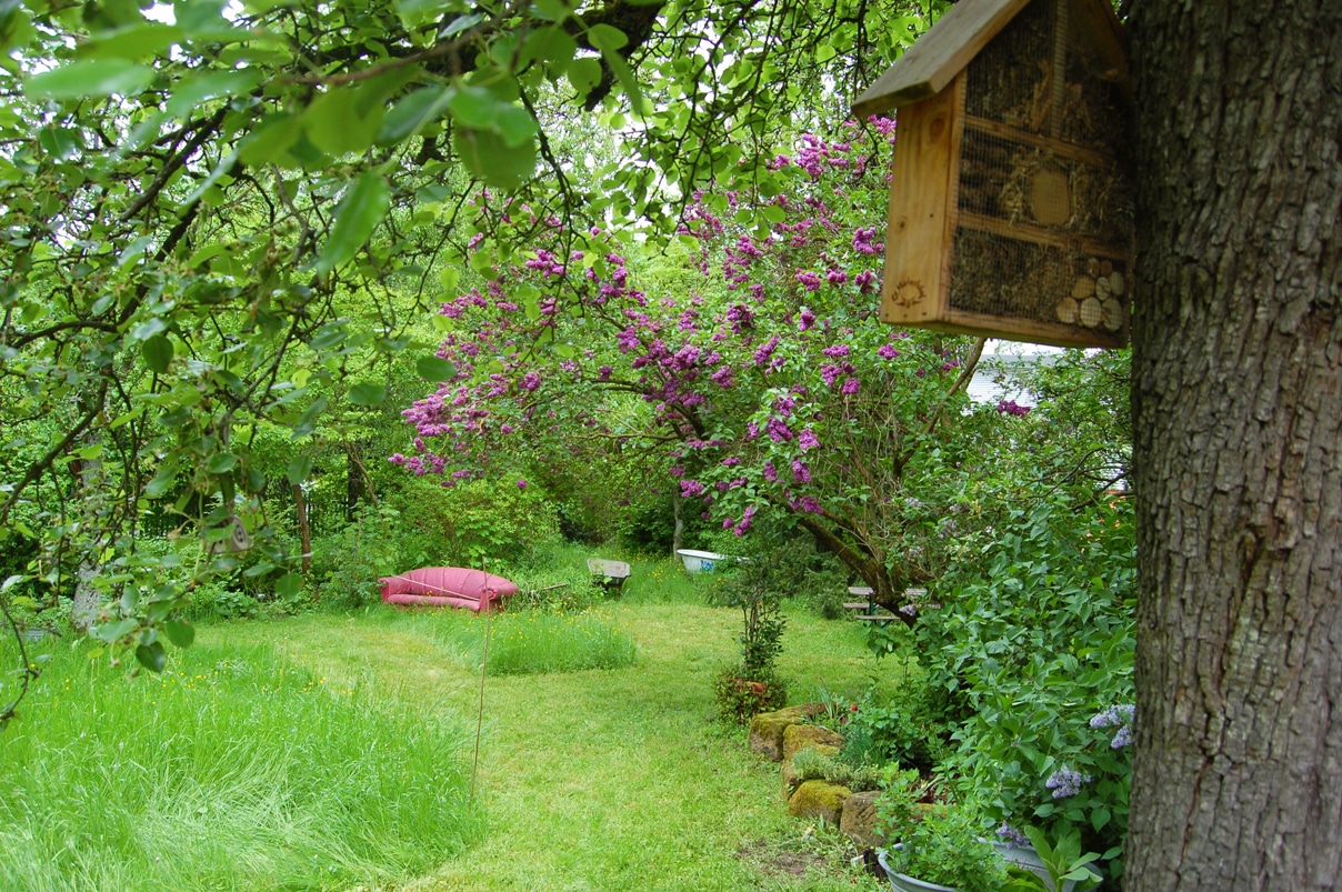 Blick in einen grünen Garten mit Vogelhaus. | Fotoo: Brigitte Wehrfritz