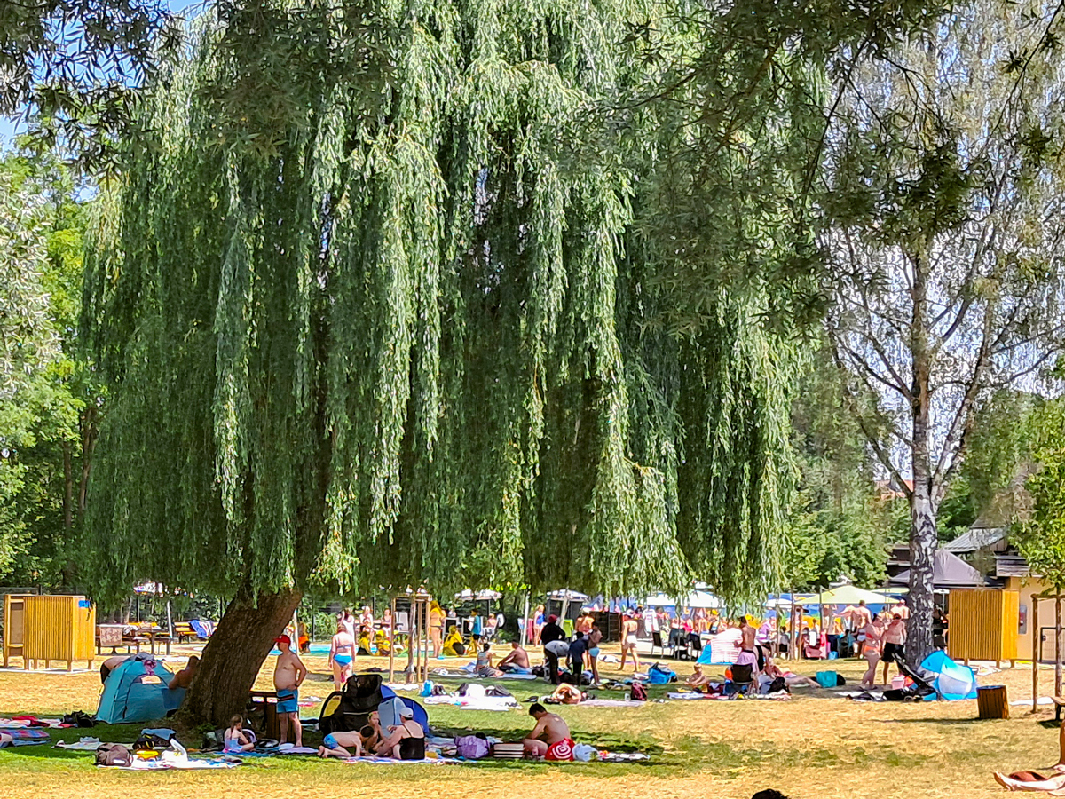 Besucherinnen und Besucher entspannen beim Spielfest im Altstadtbad auf der Liegewiese. Foto: Stadt Bayreuth