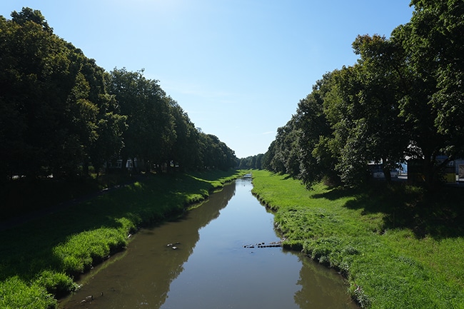 Blick auf die Mainauen